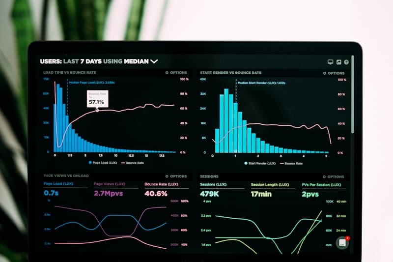Business revenue dashboard showing growth charts and analytics